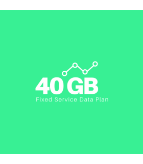 Starlink Fixed Sites Data Plan 40 GB