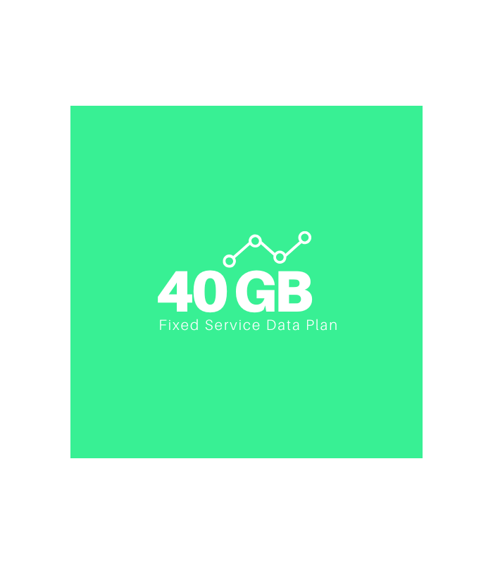 Starlink Fixed Sites Data Plan 40 GB